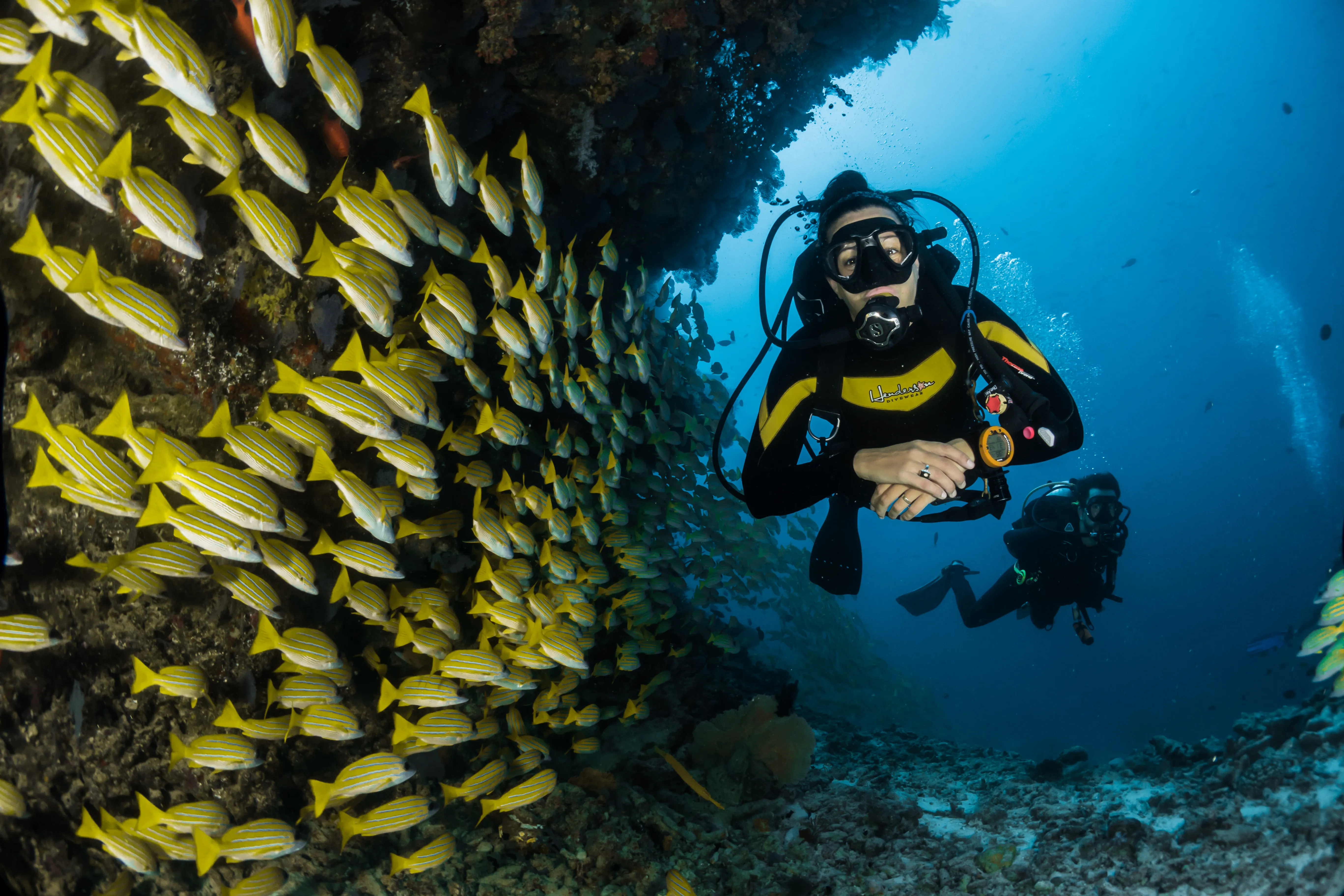 Подводные создания. Скуба дайвинг. Скуба акваланг. Дайвинг Scuba. Дайвинг Шарм-Эль-Шейх.